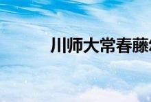 川师大常春藤幼儿园的地址在哪