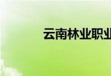 云南林业职业学院的地址在哪