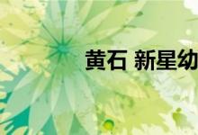 黄石 新星幼儿园的地址在哪
