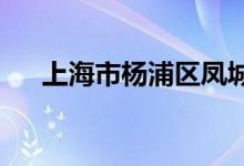 上海市杨浦区凤城新村小学的地址在哪