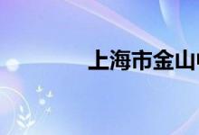 上海市金山中学的地址在哪