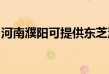 河南濮阳可提供东芝洗衣机维修服务地址在哪