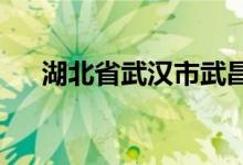 湖北省武汉市武昌实验中学的地址在哪