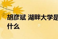 胡彦斌 湖畔大学是怎么回事具体事情经过是什么