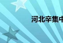 河北辛集中学的地址在哪