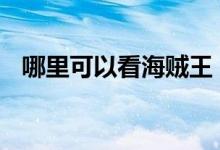 哪里可以看海贼王 哪个网站可以免费观看
