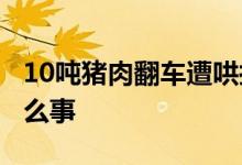 10吨猪肉翻车遭哄抢 市委致歉 具体发生了什么事