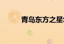 青岛东方之星幼儿园的地址在哪