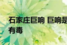 石家庄巨响 巨响是什么原因释放的气体是否有毒