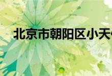北京市朝阳区小天使日托中心的地址在哪
