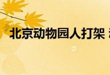 北京动物园人打架 动物效仿 这是什么场面