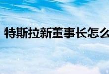 特斯拉新董事长怎么回事罗宾-丹霍尔姆是谁
