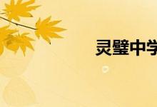 灵璧中学的地址在哪