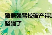 猪兼强驾校破产待退学费2亿 猪兼强无法继续坚强了