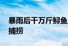 暴雨后千万斤鲟鱼从甘肃流入四川 严禁非法捕捞