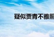 疑似贾青不雅照曝光 女星贾青是谁