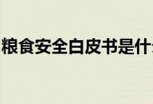 粮食安全白皮书是什么粮食安全白皮书写了啥