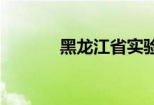 黑龙江省实验中学的地址在哪
