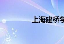 上海建桥学院的地址在哪