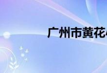 广州市黄花小学的地址在哪