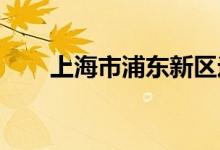 上海市浦东新区逸夫小学的地址在哪