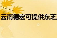 云南德宏可提供东芝洗衣机维修服务地址在哪