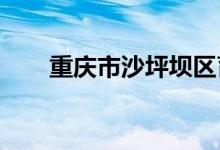 重庆市沙坪坝区育英小学的地址在哪