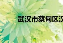 武汉市蔡甸区汉阳一中的地址在哪