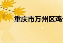 重庆市万州区鸡公岭小学的地址在哪