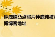 钟鹿纯凸点照片钟鹿纯被潜规则图片 钟鹿纯凸点高清图片微博博客地址