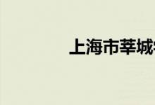 上海市莘城学校的地址在哪