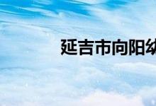 延吉市向阳幼儿园的地址在哪