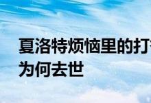夏洛特烦恼里的打岔大爷走了 打岔大爷是谁为何去世