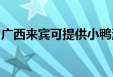 广西来宾可提供小鸭洗衣机维修服务地址在哪