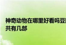 神奇动物在哪里好看吗豆瓣评价如何电影神奇动物在哪里一共有几部