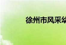 徐州市风采幼儿园的地址在哪