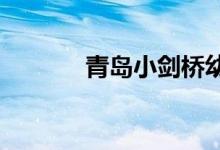 青岛小剑桥幼儿园的地址在哪