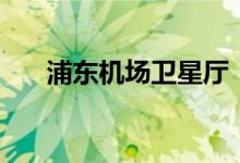浦东机场卫星厅 有什么作用详细介绍