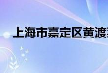 上海市嘉定区黄渡莱茵幼儿园的地址在哪