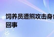 饲养员遭熊攻击身亡 现场疑曝光 到底是怎么回事