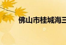 佛山市桂城海三路小学的地址在哪