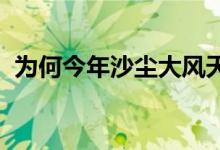 为何今年沙尘大风天气频发具体是什么原因