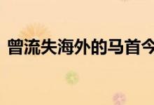 曾流失海外的马首今天回归圆明园 重磅消息