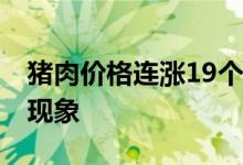 猪肉价格连涨19个月后首次转降 这是个什么现象