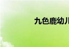 九色鹿幼儿园的地址在哪
