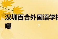 深圳百合外国语学校（原龙岗分校）的地址在哪