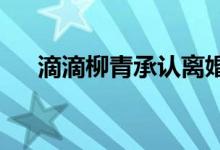 滴滴柳青承认离婚：真实比完美更重要