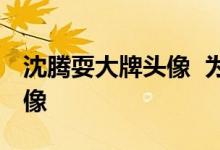 沈腾耍大牌头像 为什么耍大牌什么耍大牌头像