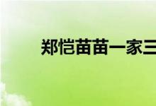 郑恺苗苗一家三口合照 画面超温馨