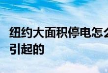纽约大面积停电怎么回事纽约大面积停电什么引起的